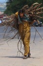 A woodcutter busy in collecting wood after cutting into pieces for up coming winter session Royalty Free Stock Photo