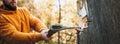 Lumberjack chopping a big tree, chips fly apart Royalty Free Stock Photo