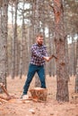 A woodcutter in a checkered shirt, chop wood in the forest. Outdoors. Royalty Free Stock Photo