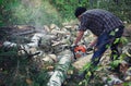 Woodcutter saws a fallen tree with a chainsaw in forest. lumberjack sawing log in his back yard