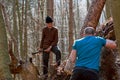 Woodcutters working Royalty Free Stock Photo