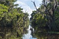 Landscape of Jean Lafitte National Park in Louisiana Royalty Free Stock Photo