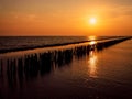 Wooded bridge pole in the port between sunrise against orange sky calm peaceful moment relax holiday concept idea background Royalty Free Stock Photo