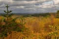 Countryside at Hindhead, Surrey, England Royalty Free Stock Photo