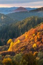 Wooded hills, forests in autumn colors,