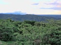 Wooded landscape in Mago National Park of Southern Ethiopia Royalty Free Stock Photo