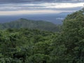 Wooded landscape in Mago National Park of Southern Ethiopia Royalty Free Stock Photo