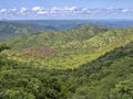 Wooded landscape in Mago National Park of Southern Ethiopia Royalty Free Stock Photo