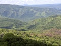 Wooded landscape in Mago National Park of Southern Ethiopia Royalty Free Stock Photo