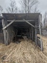 Wooden Lean-To Shed Sits Askew in a Farm Field with Tall Brown Grass