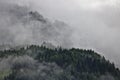 Wooded mountain ridges in the Austrian Alps party obscured by mist Royalty Free Stock Photo