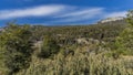 A wooded mountain slope against a background of blue sky and clouds. Royalty Free Stock Photo