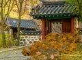 Wooded oriental gate with tiled roof