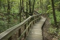 Wooded Path