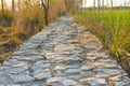 Wooded Pathway through the Forest with Stones and Grass Royalty Free Stock Photo