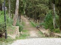 Wooded pathway leading into the forest Royalty Free Stock Photo