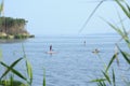 wooded promontory, people sunbathing riding Sup boards on the water of the big river