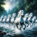 In a wooded river with rocks and trees in the background, white horses run through a group. Royalty Free Stock Photo