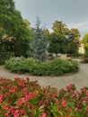 Wooded square with green trees and colorful flowers in midsummer. Beautiful sunny day. Blue sky. Square without people. Delicate Royalty Free Stock Photo