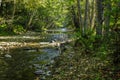 Wooded Stream with Filtered Sunlight Coming Through Trees Royalty Free Stock Photo