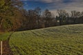 The wooded surroundings of the village of Wabern, a suburb of the city of Bern Royalty Free Stock Photo