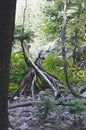 A tepee of logs in the back country Royalty Free Stock Photo