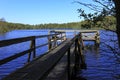 Wooded wetlands of Jezioro Dolgie Male - Little Dolgie Lake - natural reserve area by Baltic Sea central shore near town of Rowy Royalty Free Stock Photo