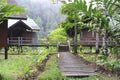 Woodem houses in tropical rainforest with lush nature in Borneo Island, Danum Valley Borneo Rainforest Lodge Royalty Free Stock Photo