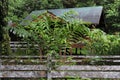 Woodem houses in tropical rainforest with lush nature in Borneo Island, Danum Valley Borneo Rainforest Lodge Royalty Free Stock Photo