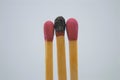 Wooden matches on white blackground sulfur object fire