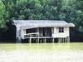 Wooden Abandoned house near mangrove forest in South of Thailand. Royalty Free Stock Photo