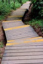 Wooden access in forest