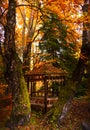 A wooden alcove pavilion in the forest