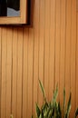 Wooden wall and Sansevieria.