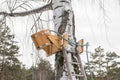 Wooden antique bucket for watering, pouring cold water Royalty Free Stock Photo