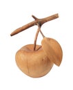 Wooden apple