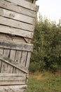 Wooden apple bins stacked in orchard