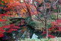 A wooden arch bridge over a stream surrounded by colorful autumn foliage of the maple forest in beautiful Rikugi-en Park Royalty Free Stock Photo