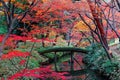 A wooden arch bridge over a stream surrounded by colorful autumn foliage of the maple forest in beautiful Rikugi-en Park Royalty Free Stock Photo