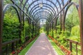 Wooden arched pergola in summer park Royalty Free Stock Photo