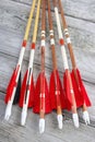 Wooden archery arrows Royalty Free Stock Photo