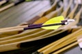 Wooden archery arrows with plastic nocks and feathers Royalty Free Stock Photo