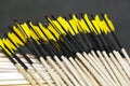 Wooden archery arrows with plastic nocks with feathers Royalty Free Stock Photo