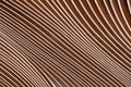 Wooden Architecture - Glulam - Glued Laminated Timber Royalty Free Stock Photo