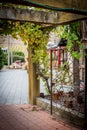 A wooden archway with paved footpath leading toto a vineyard Royalty Free Stock Photo