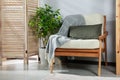 Wooden armchair, green houseplant and folding screen near light wall. Interior design