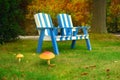 Wooden armchairs on a green lawn i