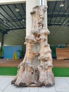 Wooden artwork from tree trunks. A work of art that is natural, unique and of high value