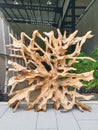 Wooden artwork from tree trunks. A work of art that is natural, unique and of high value