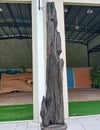 Wooden artwork from tree trunks. A work of art that is natural, unique and of high value